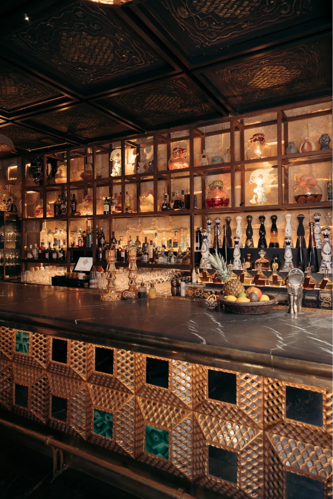 COYA VIP Guest Management