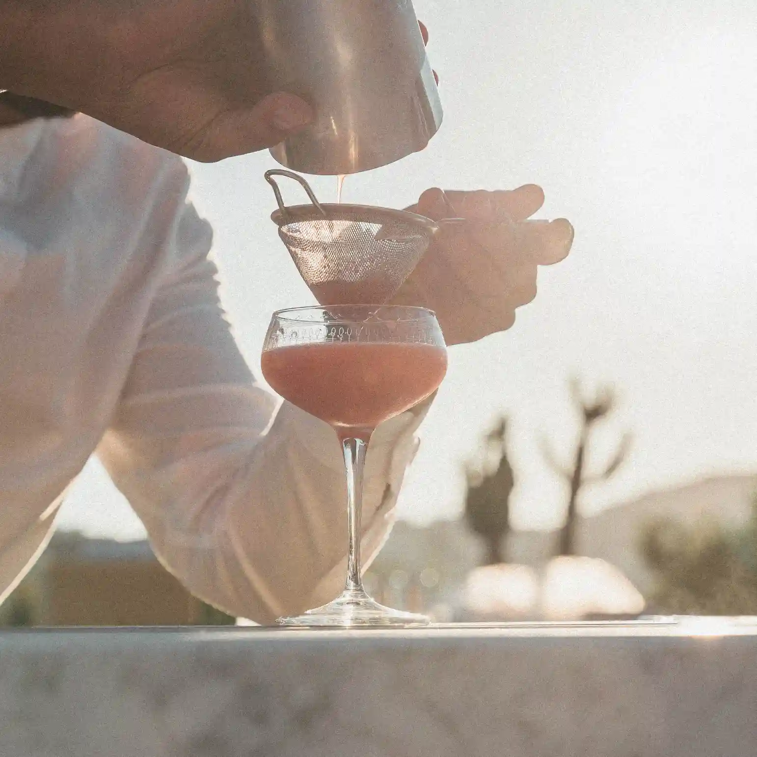 La Cantine du Faubourg Editorial Visual